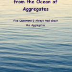 A Drop from the Ocean of Aggregates