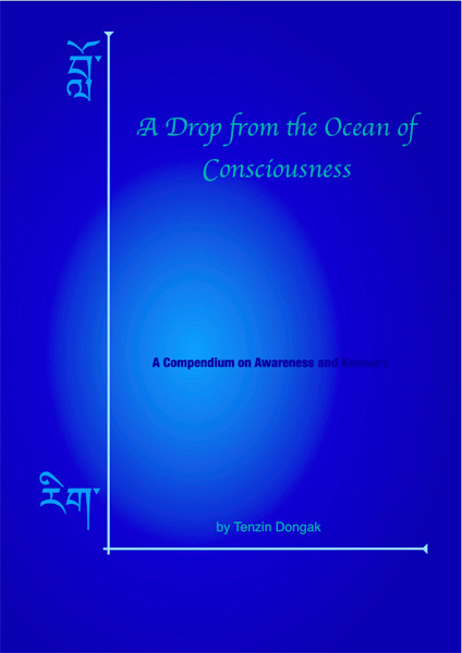 A Drop from the Ocean of Consciousness