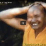 HMP LYWA - Enjoying the Life of Lama Yeshe